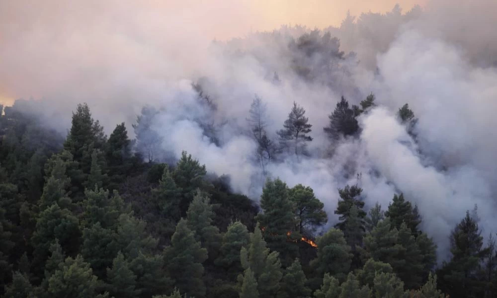 Καλλιμάρμαρο: Χιλιάδες θεατές στη συναυλία «Μένουμε Όρθιοι» για τους πυρόπληκτους της Β. Εύβοιας